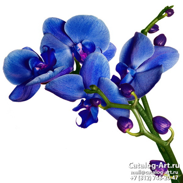 Bleu flowers 55